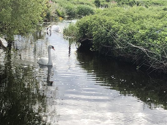 River Walk